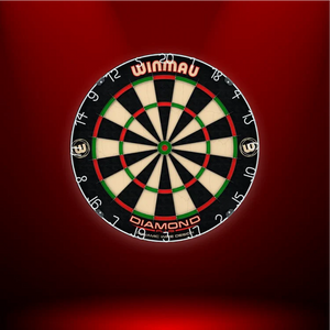 Understanding the Various Types of Dartboards